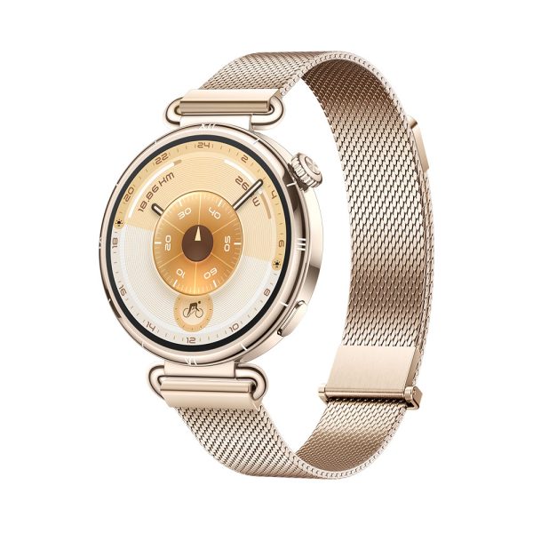 Huawei Watch GT 6 Gold Milanese Strap (KONSU-B19M)