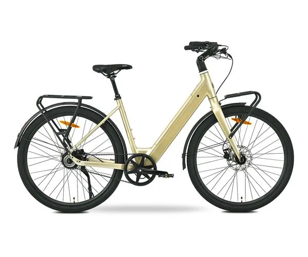 MS ENERGY eBike Zorya Plus Silver Gold