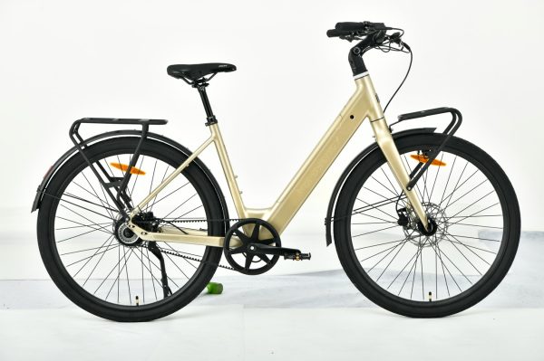 MS ENERGY eBike Zorya Plus Silver Gold