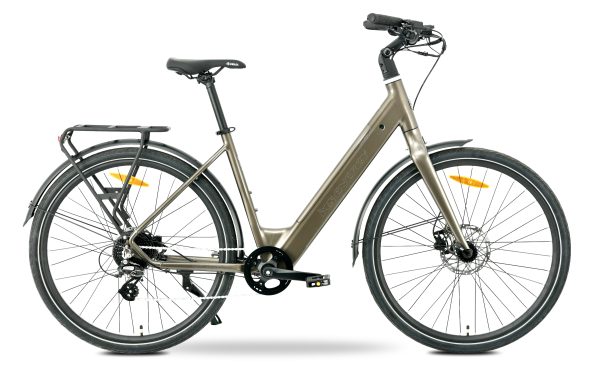 MS ENERGY eBike Zorya Bronze